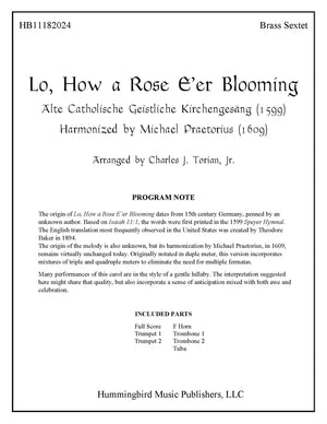LO, HOW A ROSE E'ER BLOOMING