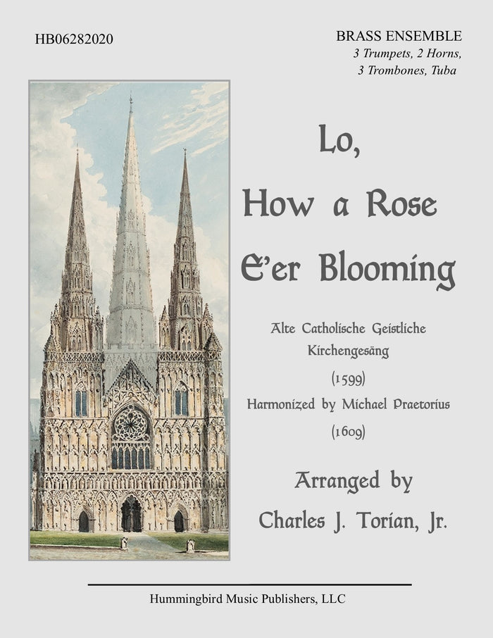 LO, HOW A ROSE E'ER BLOOMING